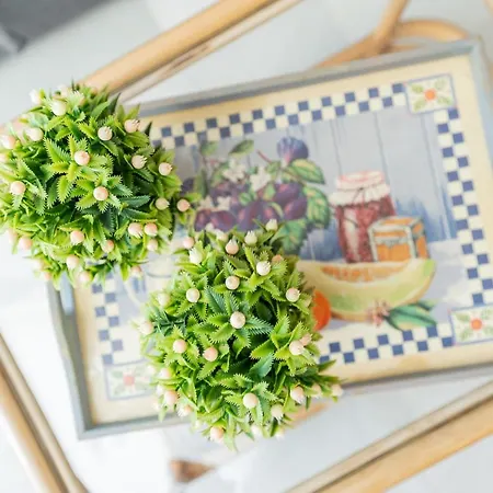 アパート Monko Palmeras *